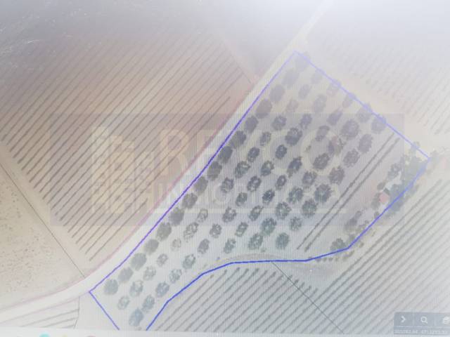 Terreno residencial en Venta en N/A en Cuzcurrita de Río Tirón