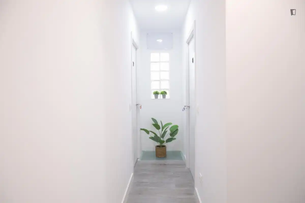 Apartments for rent in Opañel