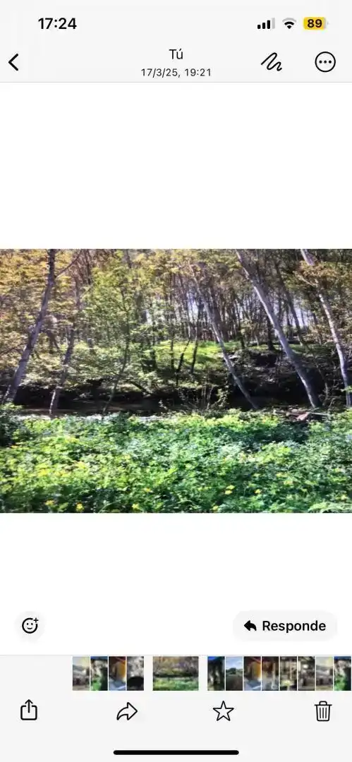 Finca rústica en venda en Bembibre
