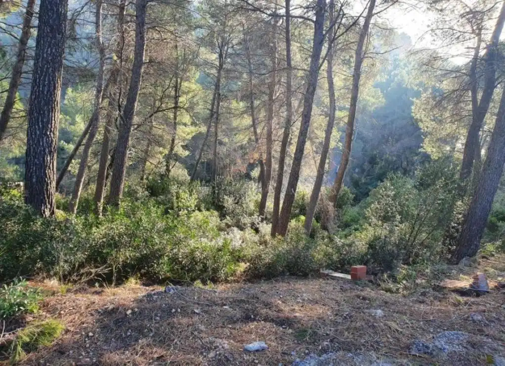 Terreny rústic en venda a CAN MONTMANY (DE), imagen 13