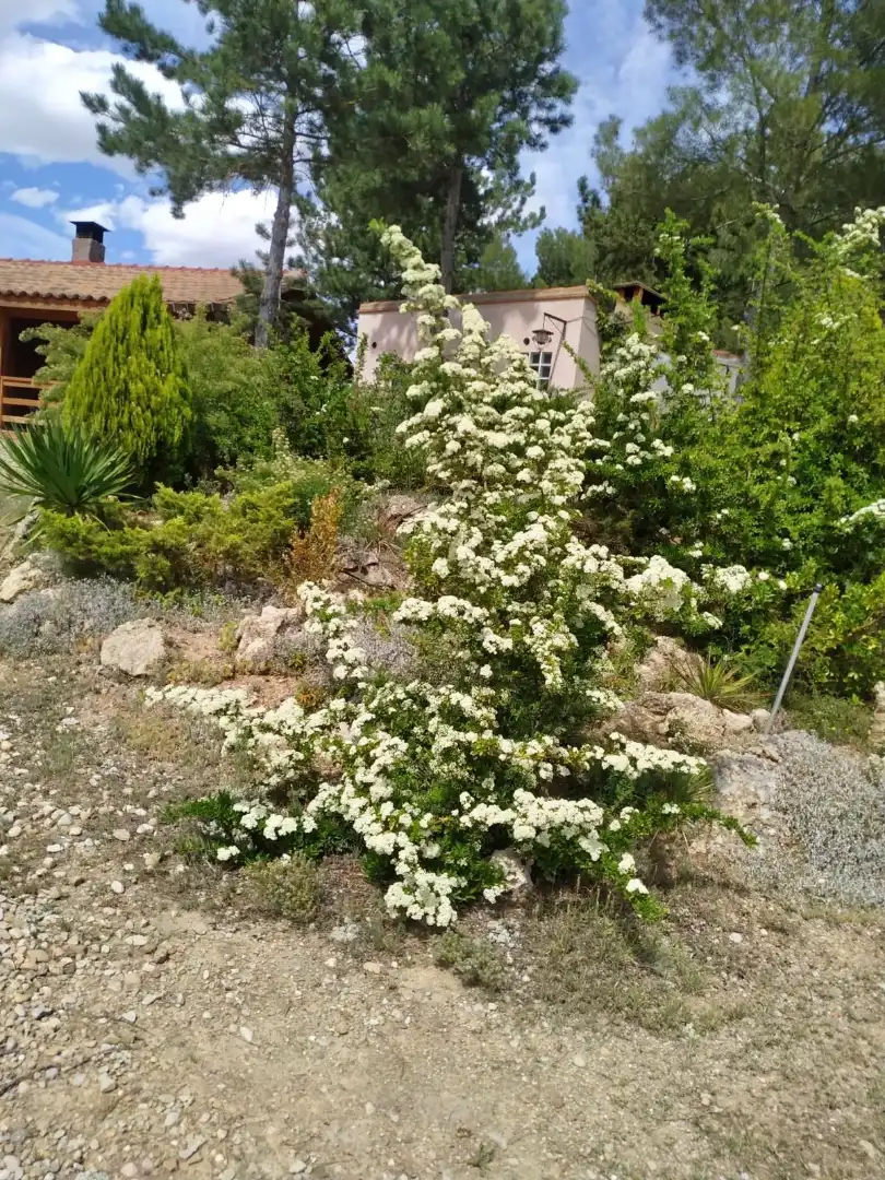 Jardín de Casa o chalet en venta en Teruel con Calefacción, Jardín privado y Parquet