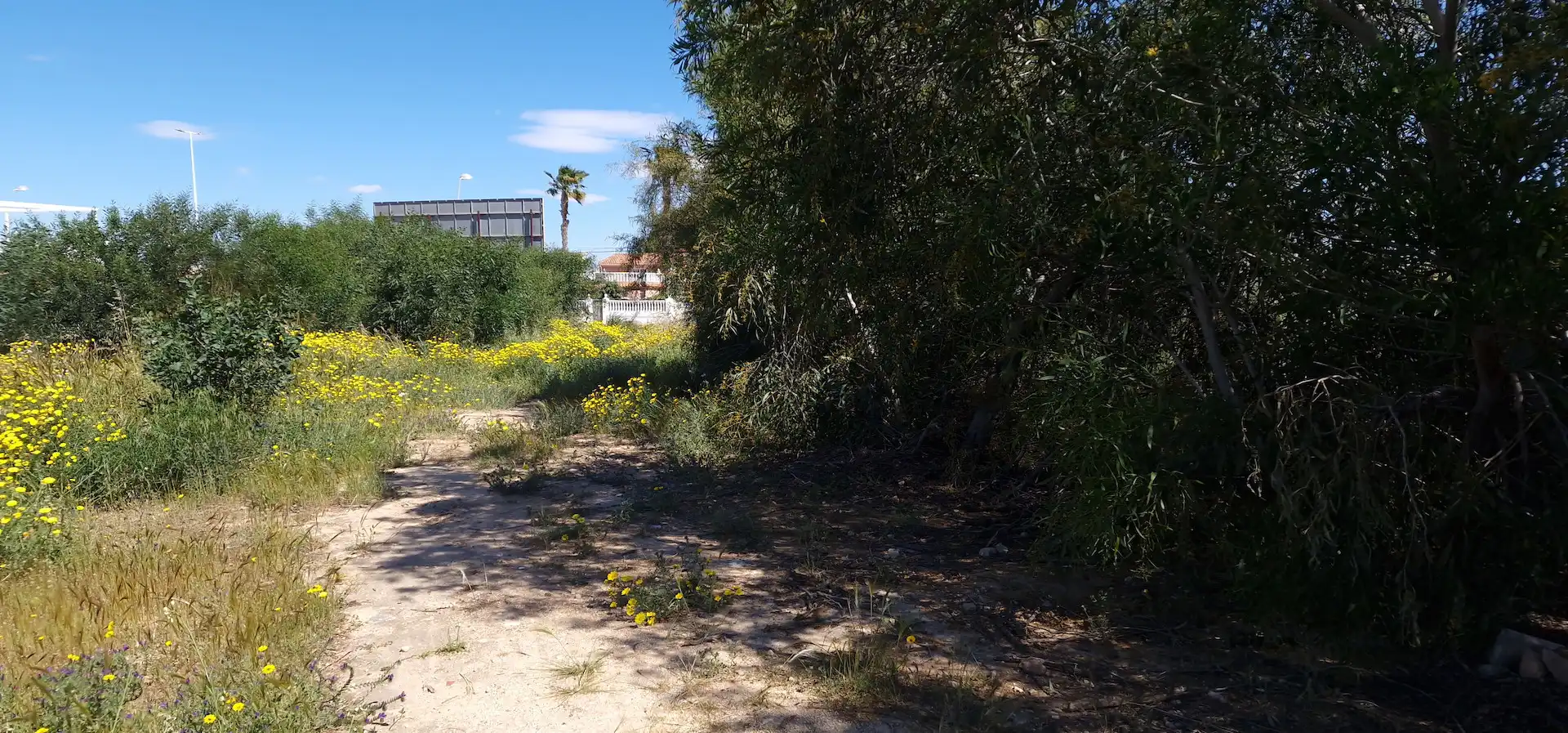 Terreny residencial en venda a CL RAUL FERRANDEZ GIMENEZ 45, imagen 3