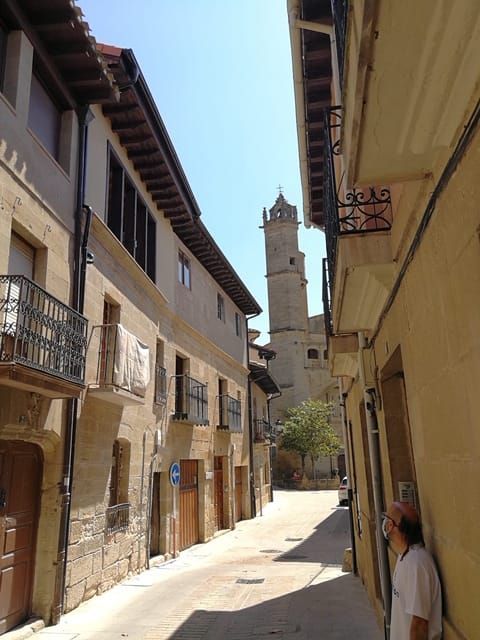 Exterior view of House or chalet for sale in Elciego  with Terrace