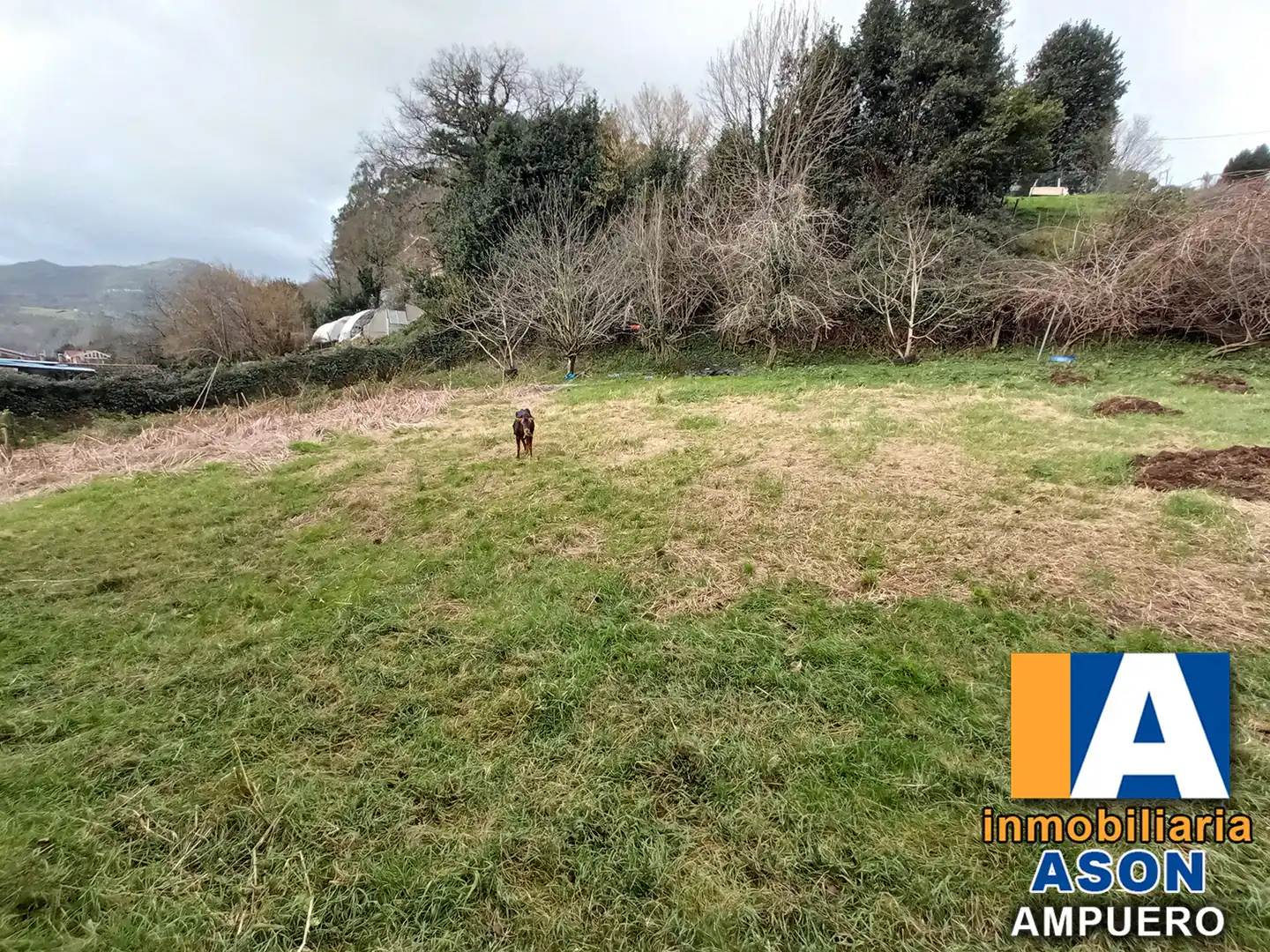 Habitatge amb terrassa en venda a Ampuero, imagen 5