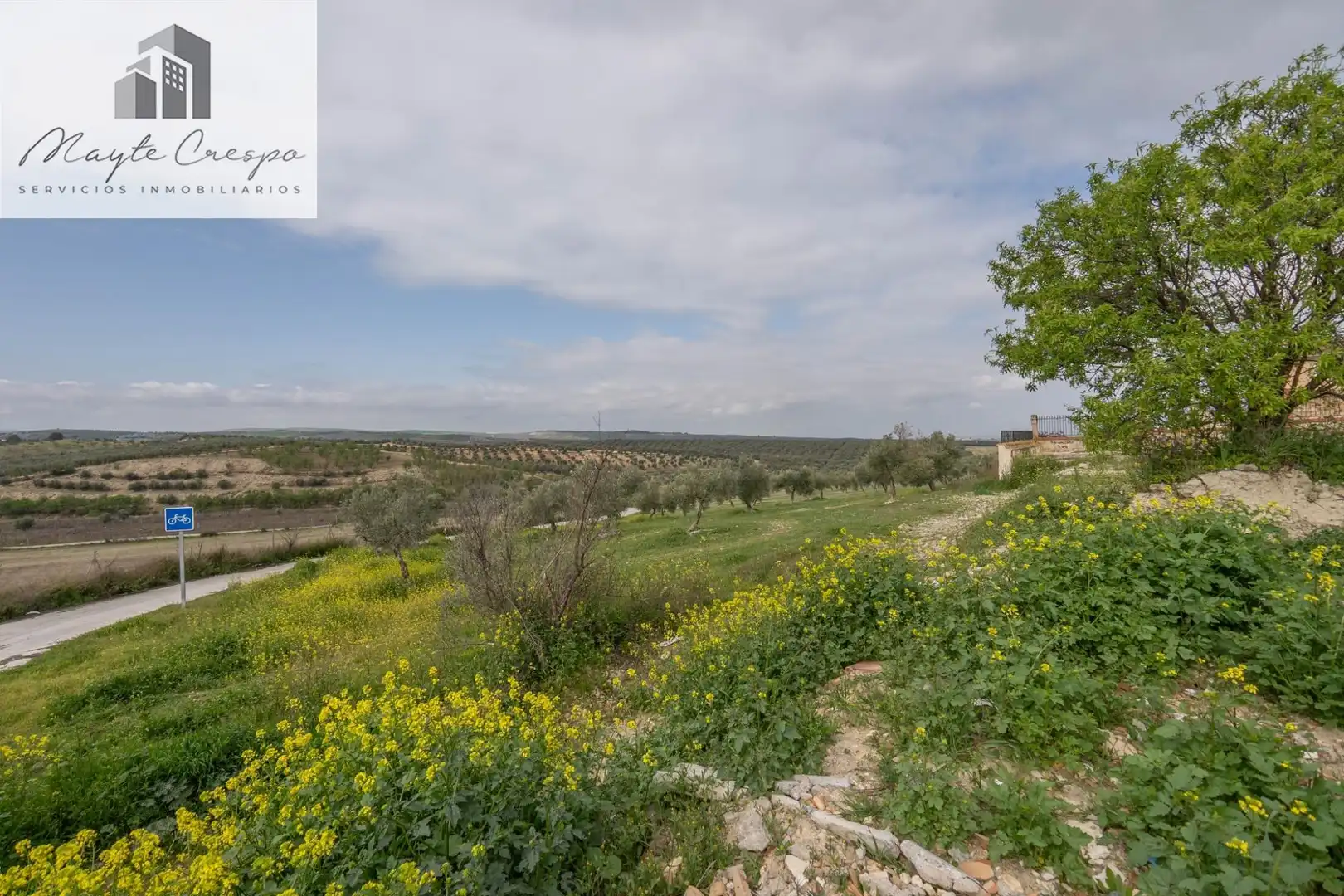 House with pool for sale in Calle del Geranio 29, imagen 51