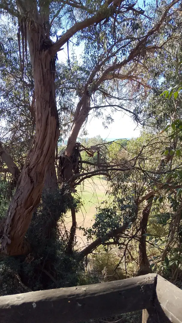 Jardí de Dúplex en venda en Islantilla amb Jardí privat, Terrassa i Traster