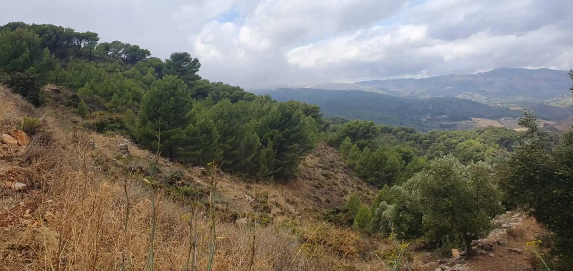 Terrenos y solares en venta en Yunquera, imagen 8