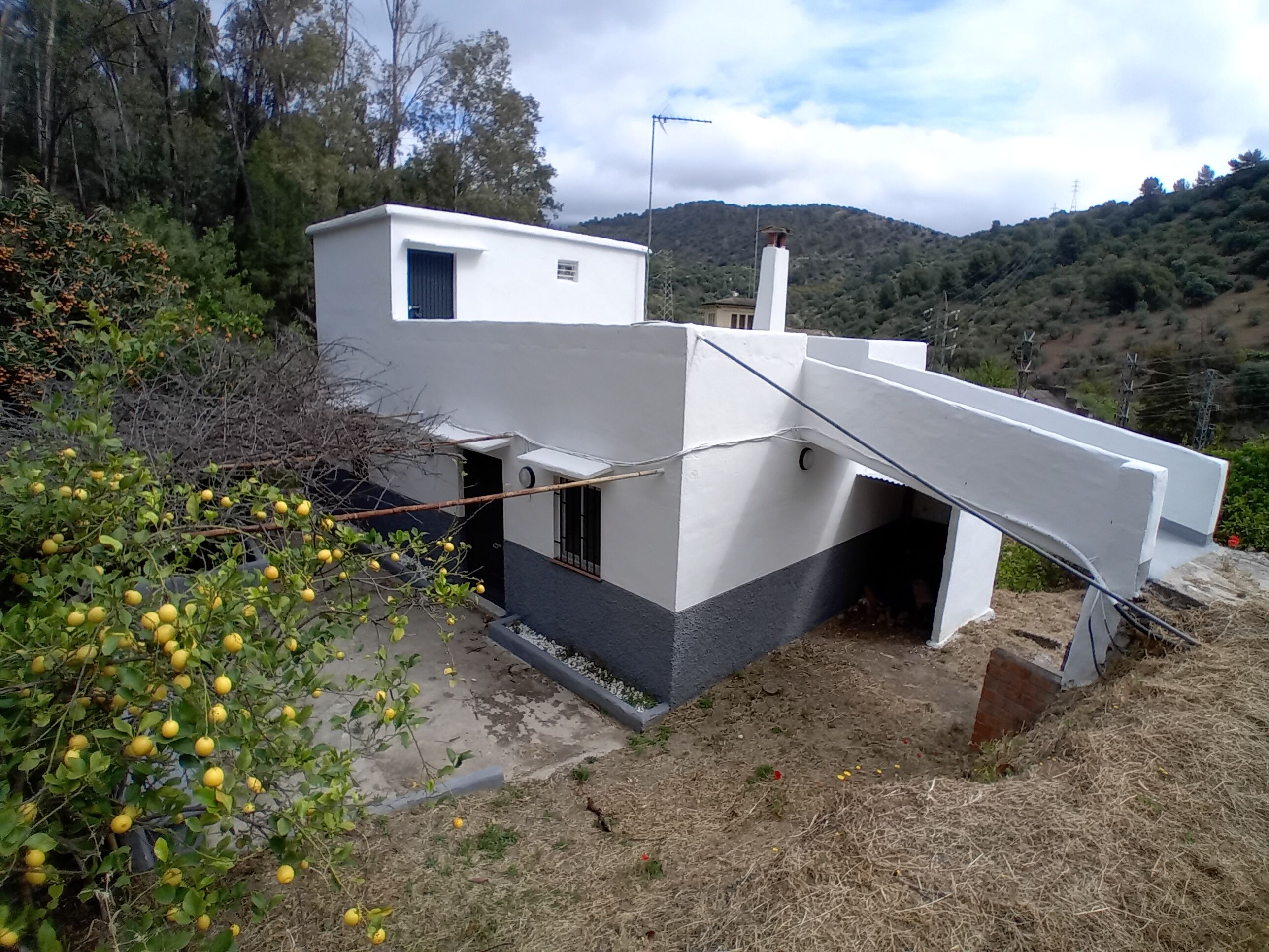 Exterior view of Country house for sale in Tolox  with Private garden and Terrace
