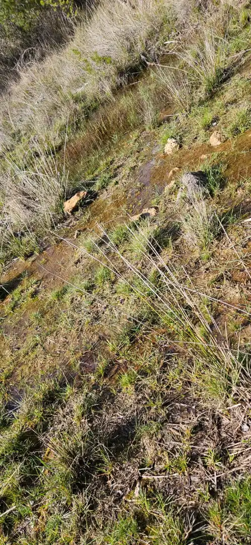 Terreno en venta en Las Parras de Castellote