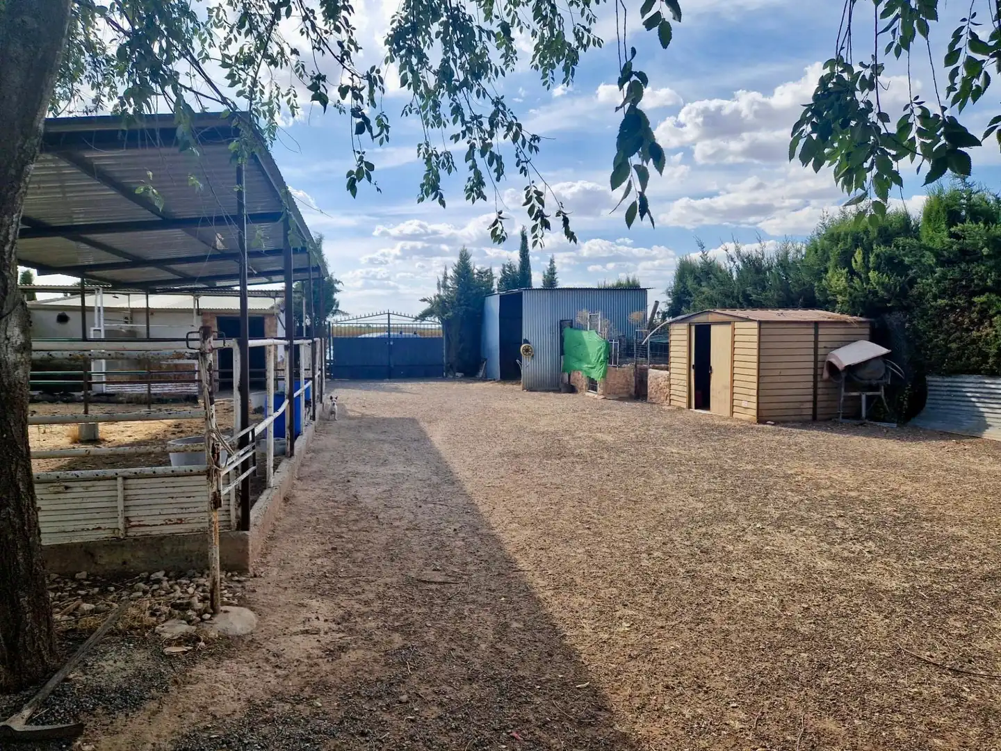 Vista exterior de Casa o chalet en venta en Pozuelo de Calatrava con Piscina y Amueblado