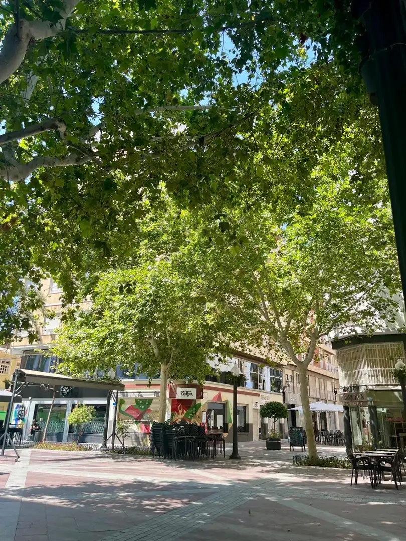 Piso con ascensor en venta en Calle ANGEL 26, imagen 18