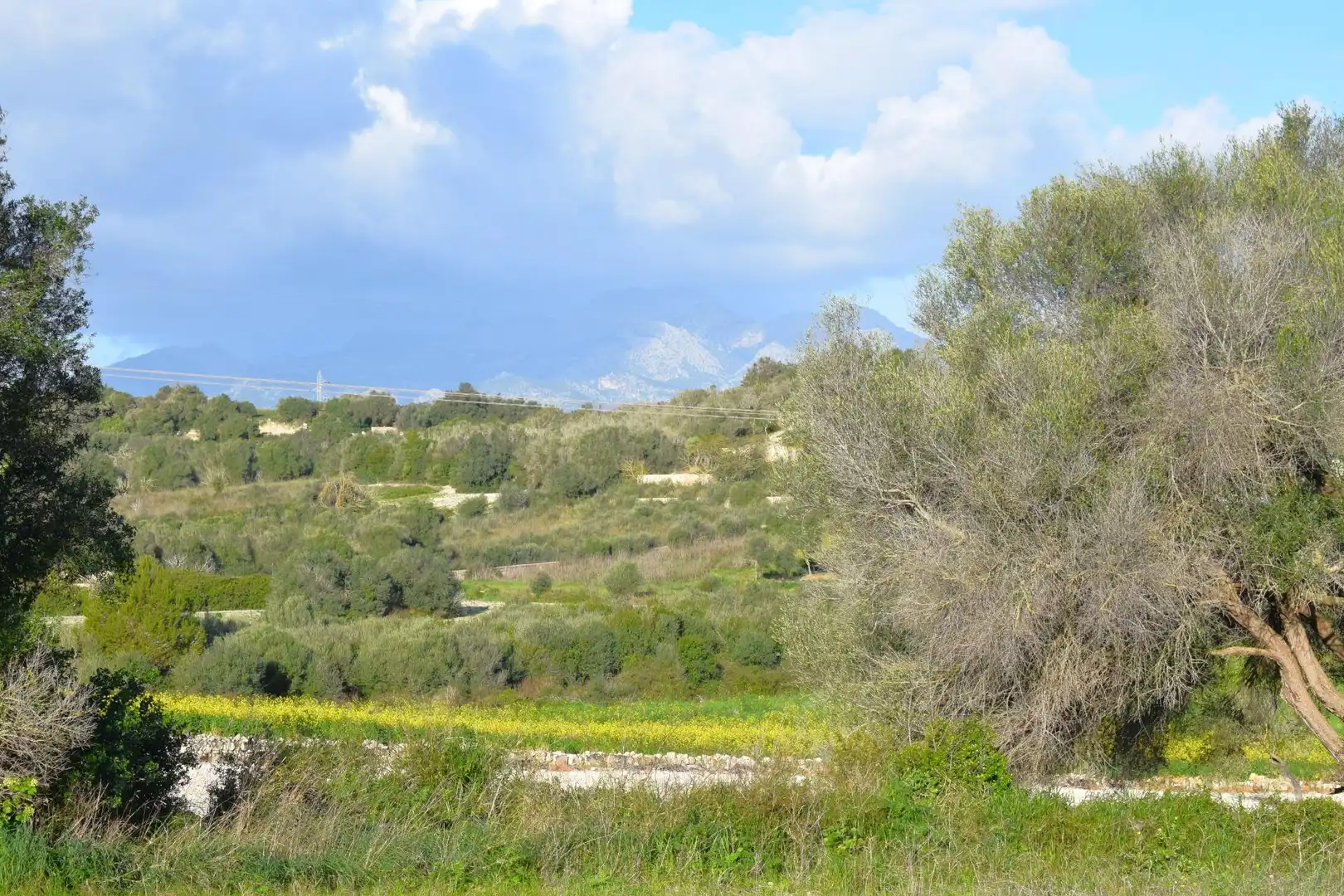 Residential land for sale in Muro, imagen 6