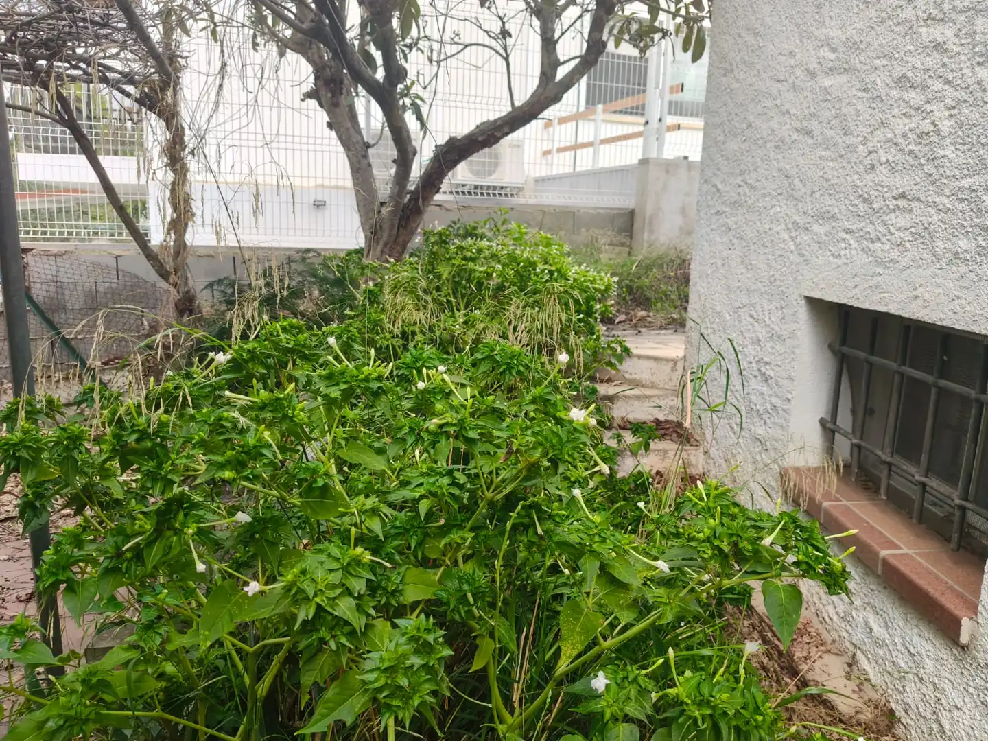 Casa con terraza en venta en Carrer d'Amadeu Víves, imagen 30