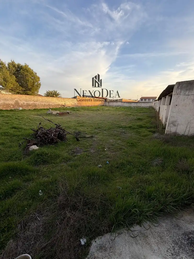 Terreno rustico in vendita a Magdalena, imagen 3
