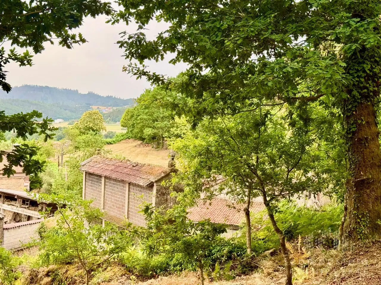 Vista exterior de Casa o xalet en venda en Santiago de Compostela  amb Jardí privat i Traster
