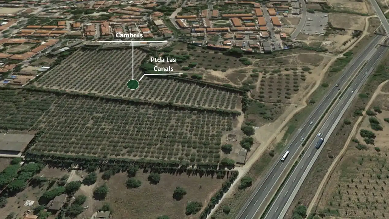 Terreny rústic en venda a Ptda Las Canals - Las Teclas -, imagen 4