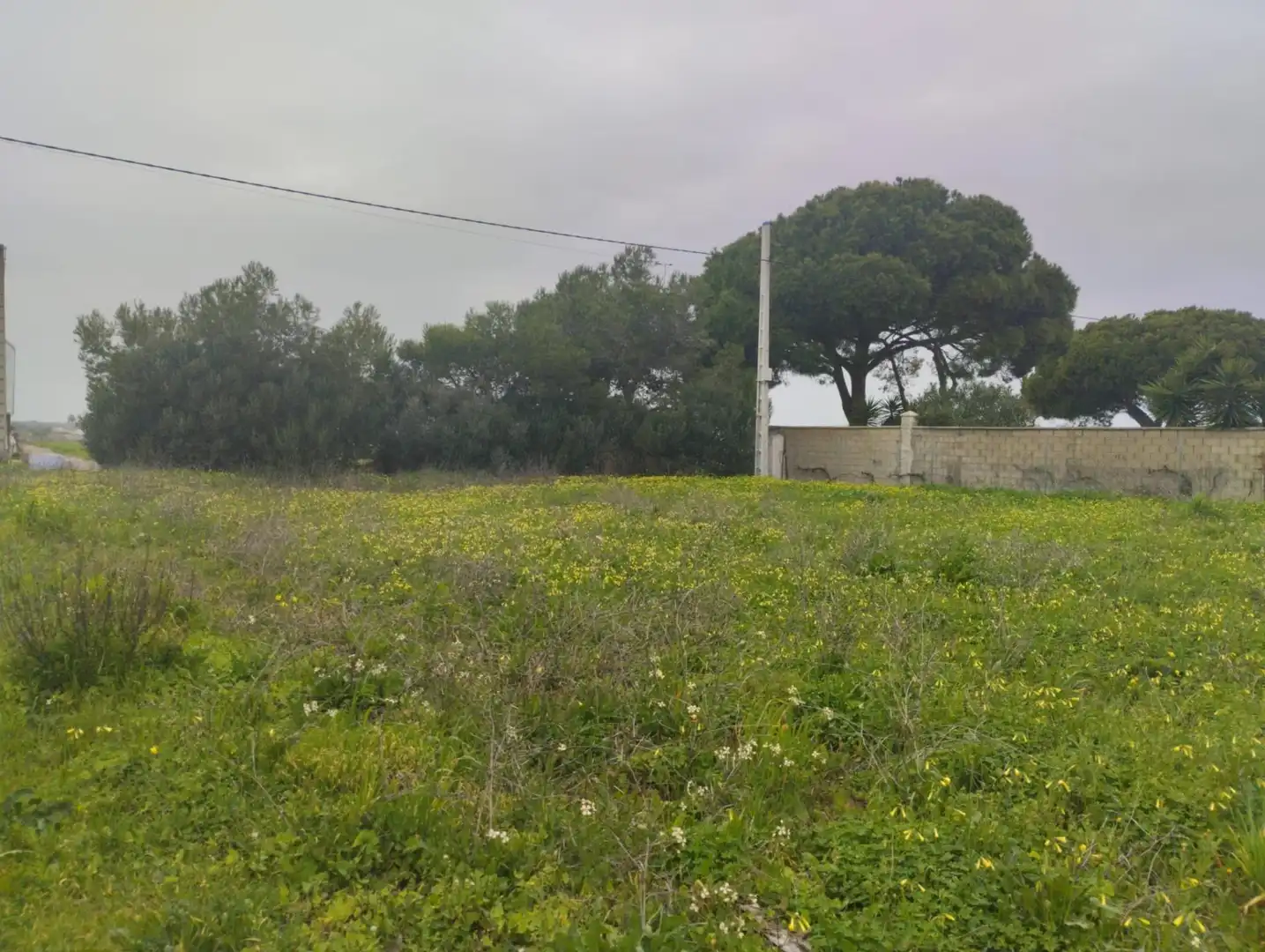 Residential land for sale in Núcleo urbano, imagen 2