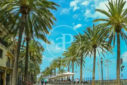 Vista exterior de Casa adosada en venta en Badalona con Aire acondicionado, Calefacción y Terraza