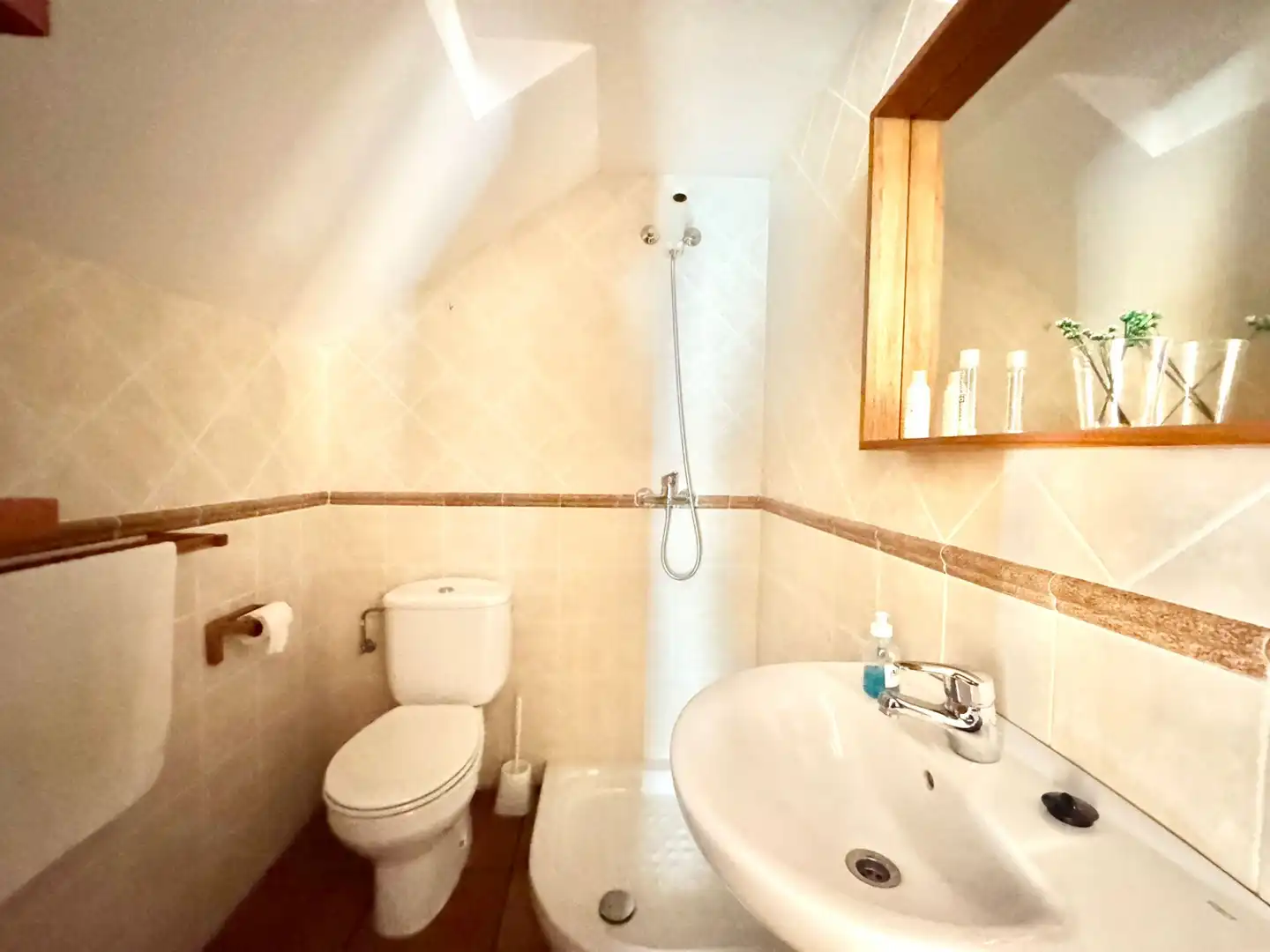 Badezimmer von Geschaftsraum zum Verkauf in Alegría-Dulantzi