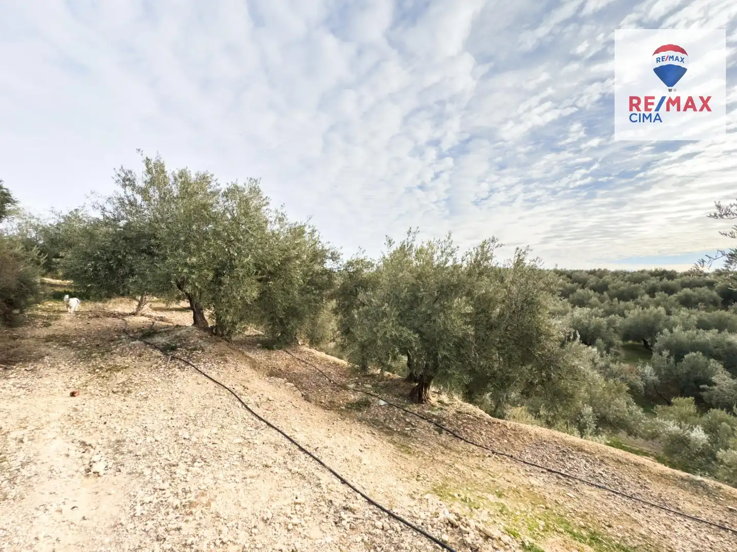 Casa o xalet en venda en Pozo Alcón amb Aire condicionat, Calefacció i Jardí privat