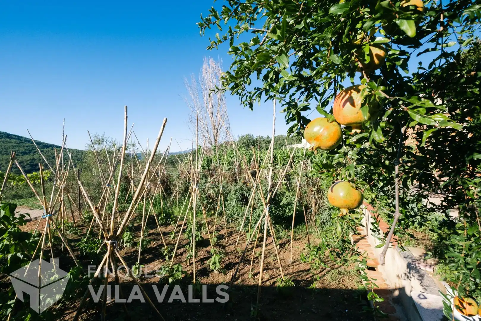 Chalet con jardín en venta en Sant Feliu de Codines, imagen 94