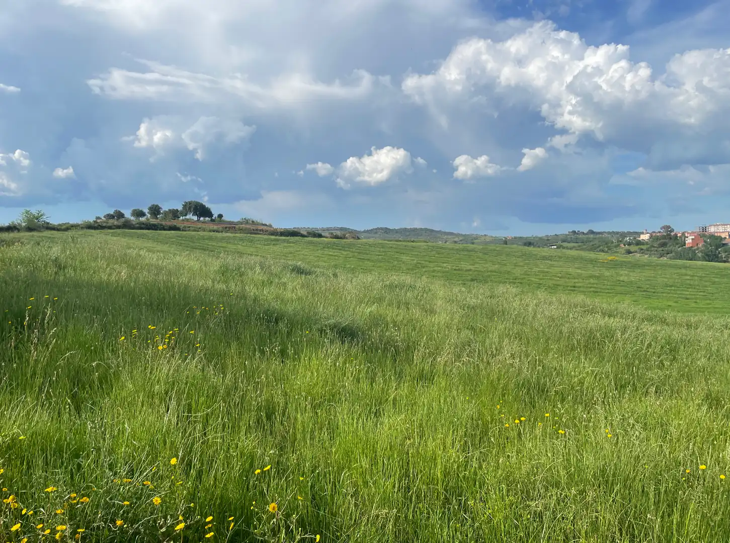 Terreni e lotti in vendita a Coria, imagen 7