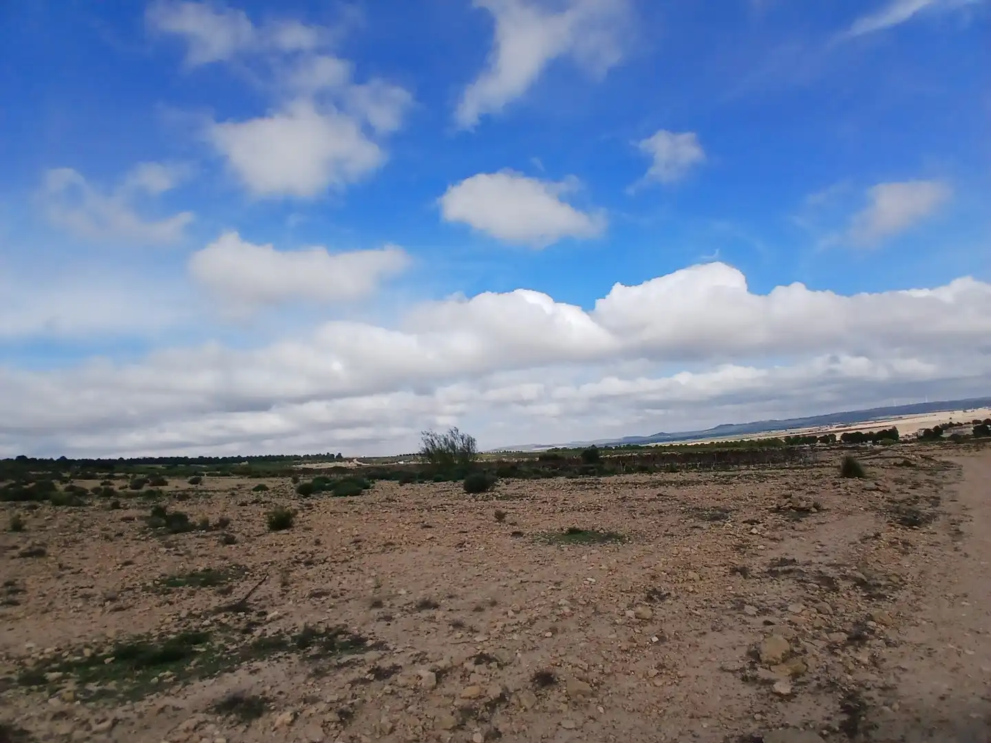 Residential land for sale in Yecla, imagen 15