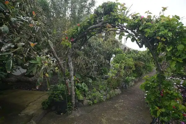 Finca rústica en venda a Calle la Caridad, Tacoronte - Los Naranjeros