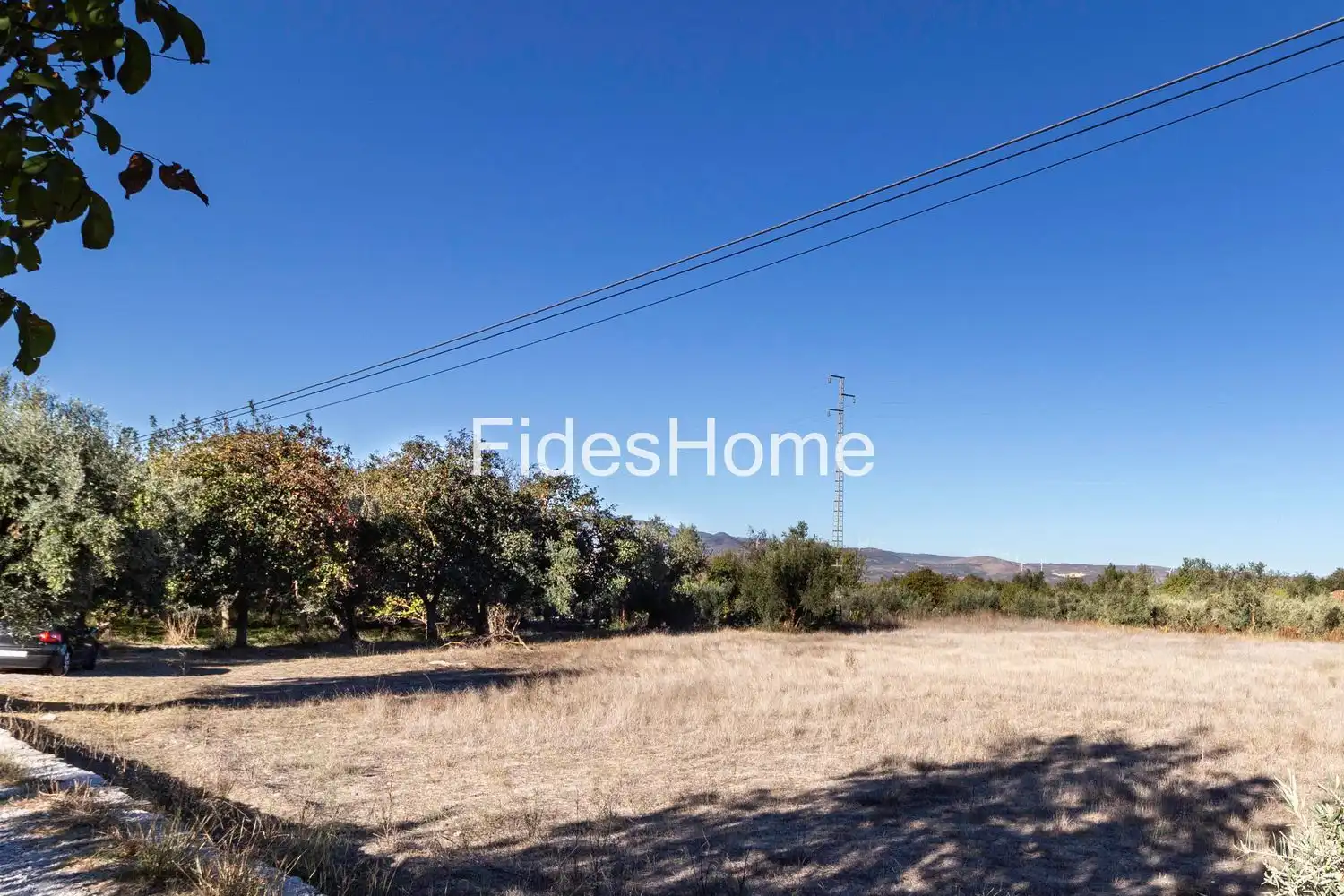 Rural land for sale in XFC2+FVQ Acequias 0, imagen 5