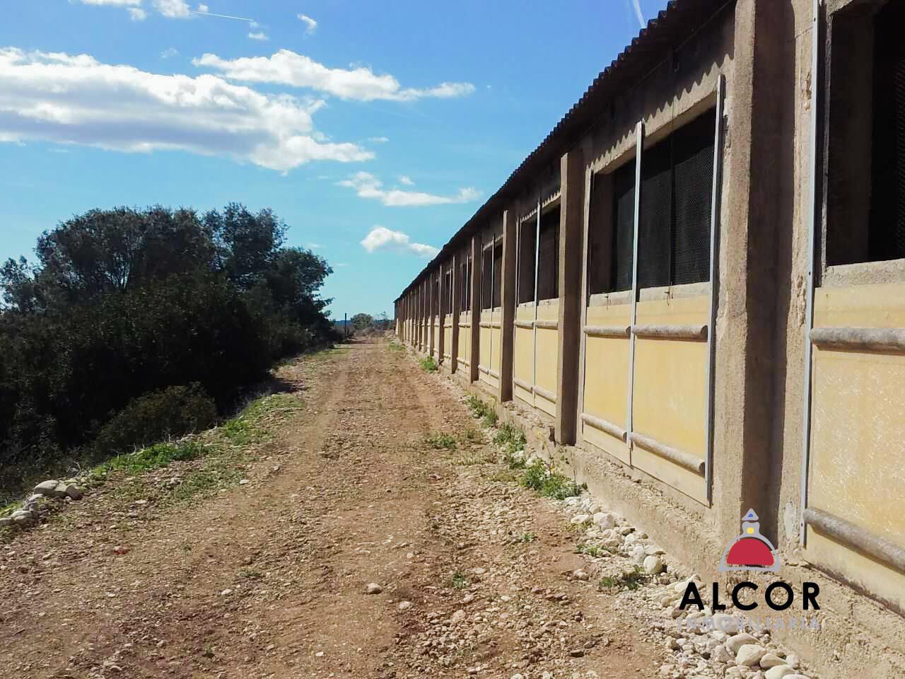 Exterior view of Industrial buildings for sale in Traiguera