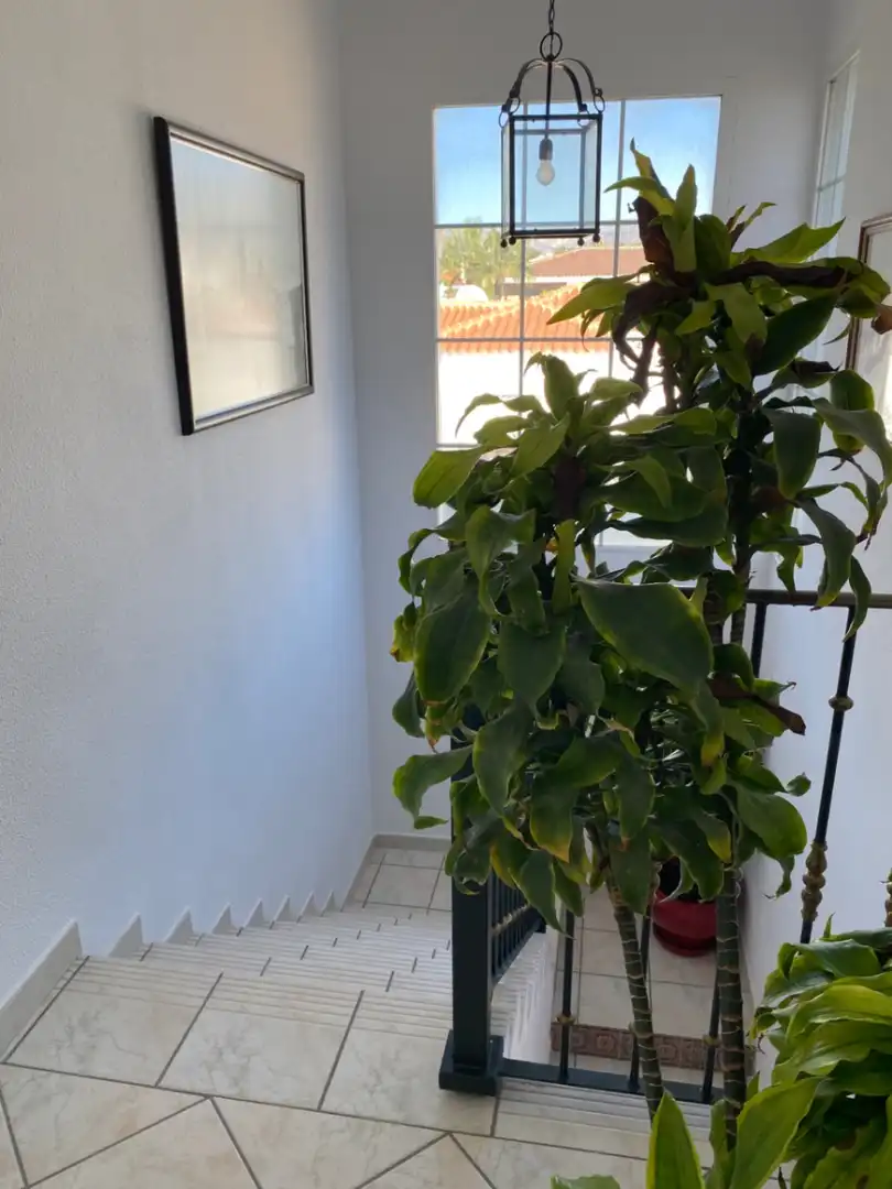 Casa o chalet en venta en El Tossal - Bello Horizonte
