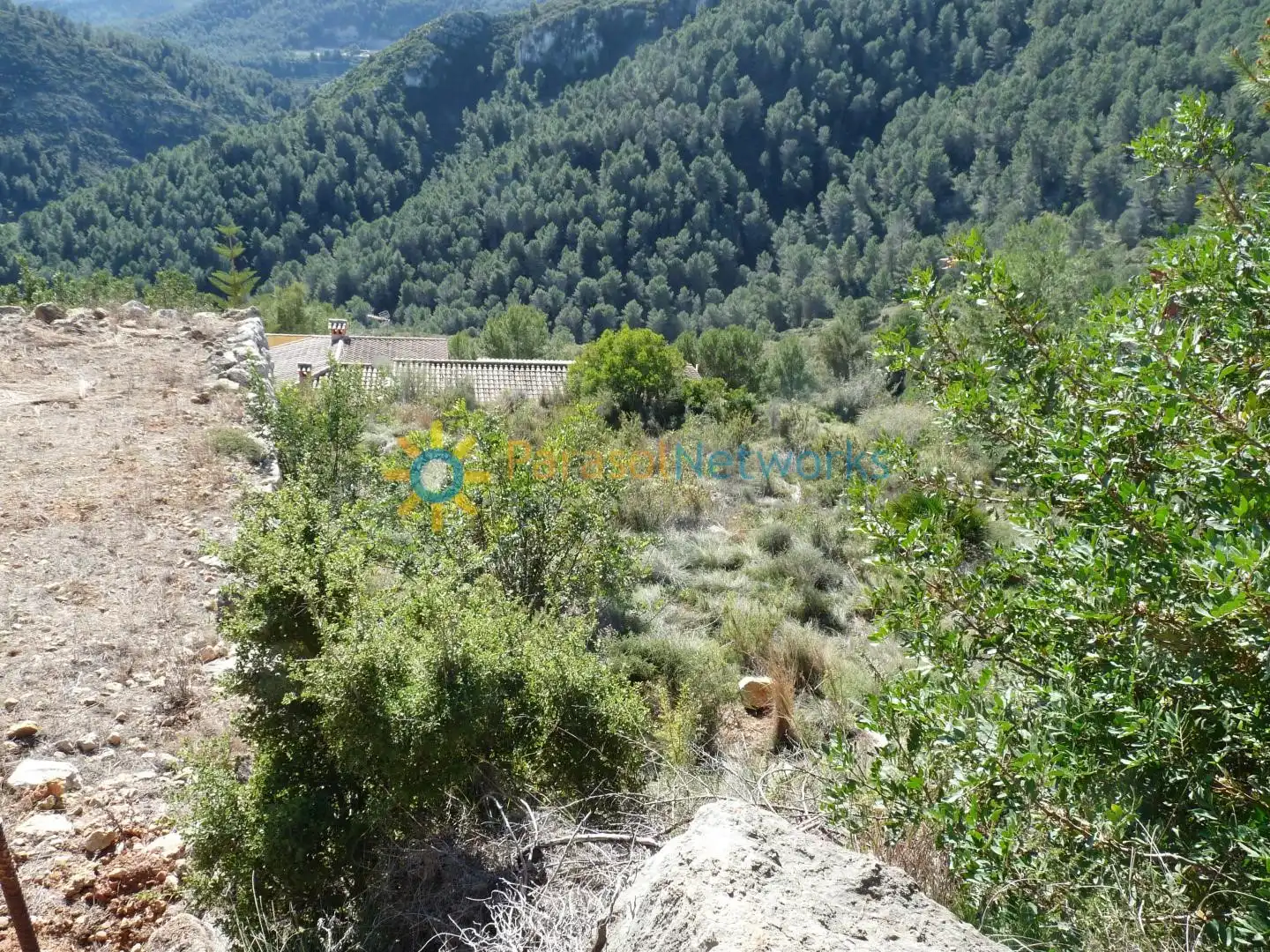 Terreno residencial en venta en Oliva pueblo