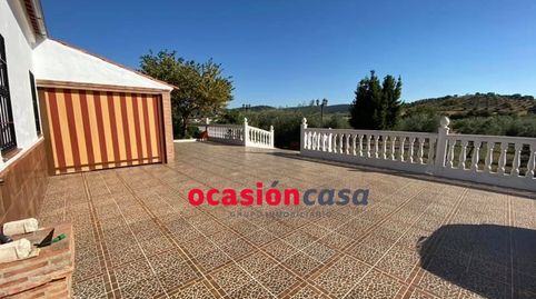 ESPECTACULAR PARCELA CON CASA, PISCINA Y OLIVOS, imagen 3
