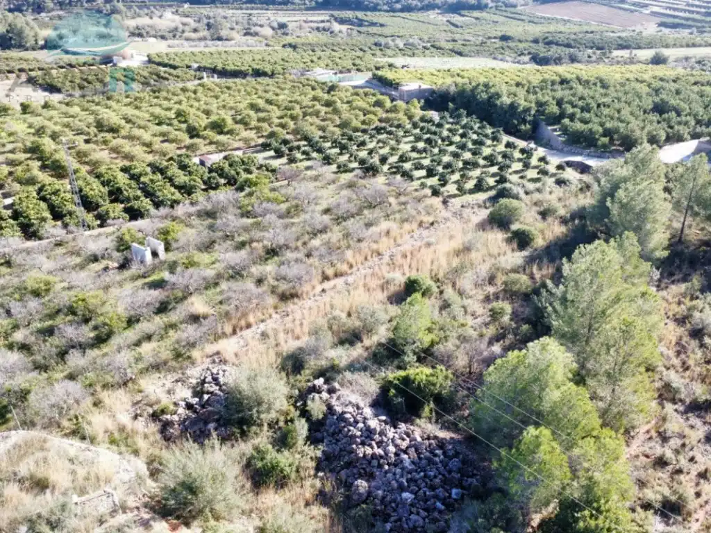Terreny rústic en venda a Les hortes, imagen 3