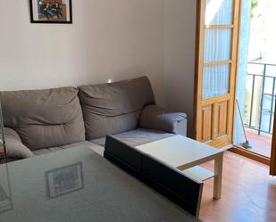 Sala d'estar de Apartament de lloguer en Badajoz Capital amb Moblat, Rentadora i Microones