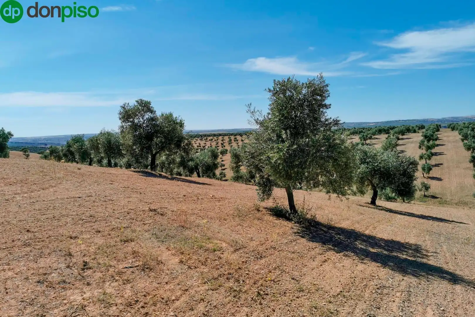 Terreni e lotti in vendita a LLANO SALVIAR Polígono: 13, Parcela: 209 y 277, imagen 3