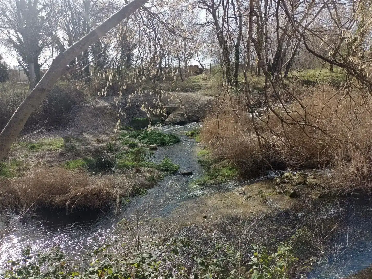 Finca rústica en venta en Olite / Erriberri, Navarra