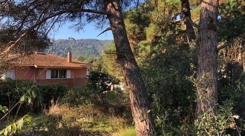 Terrenos Can Valls, imagen 3