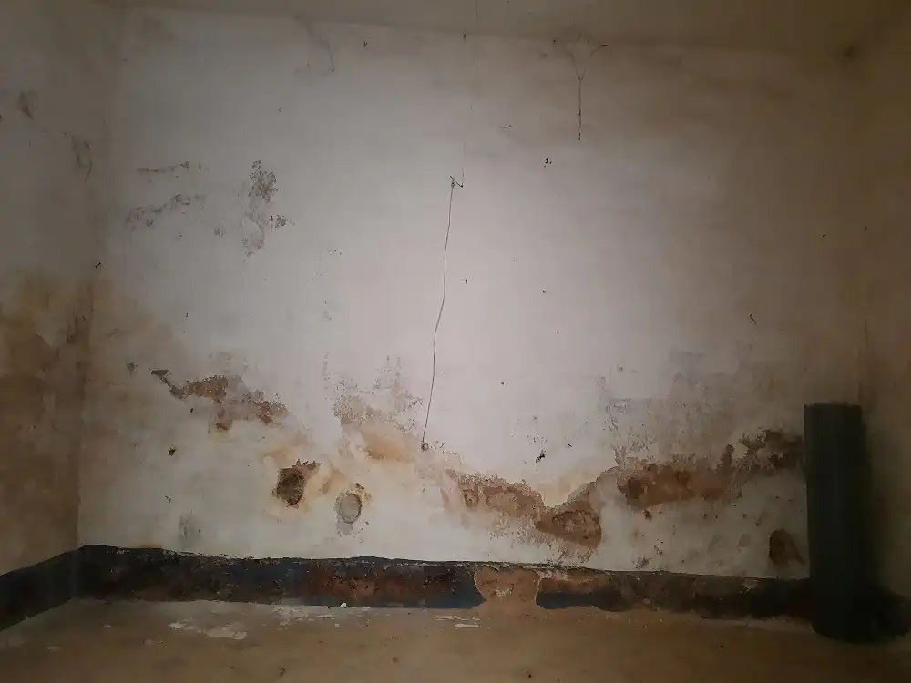Casa o xalet en venda en Brozas