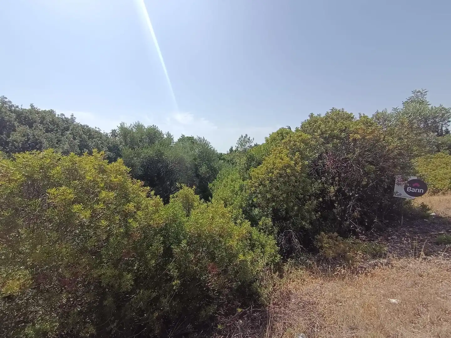 Lands and plots for sale in Periurbano Norte, imagen 4