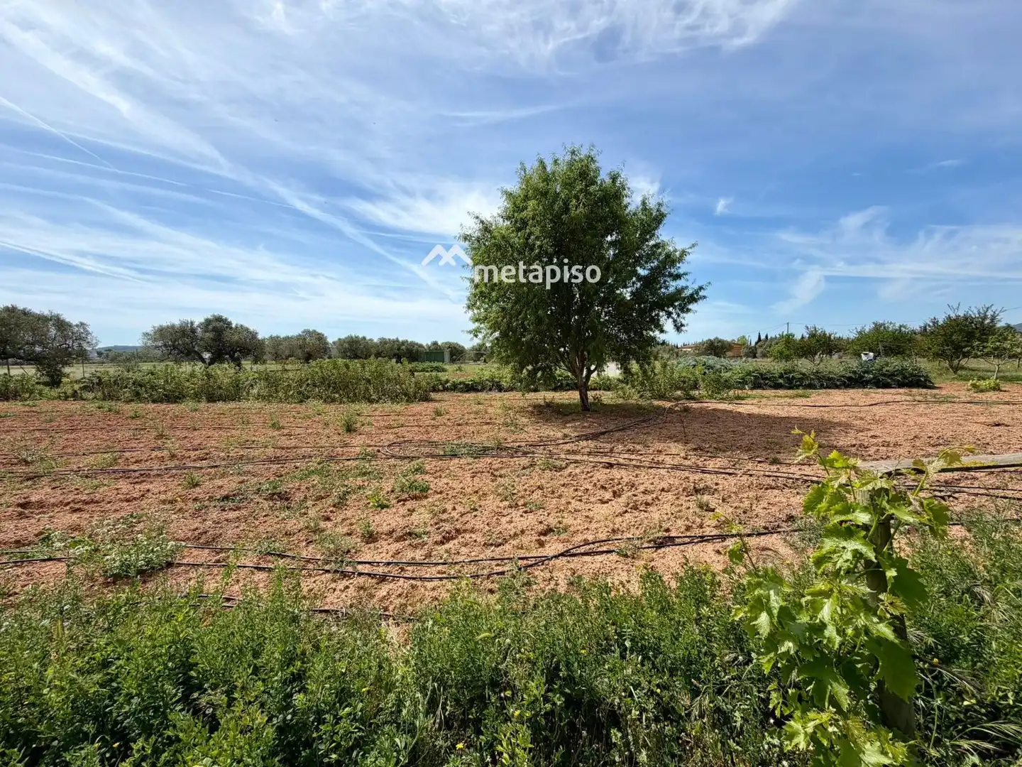 Terreno rustico in vendita a Santa Oliva, imagen 58