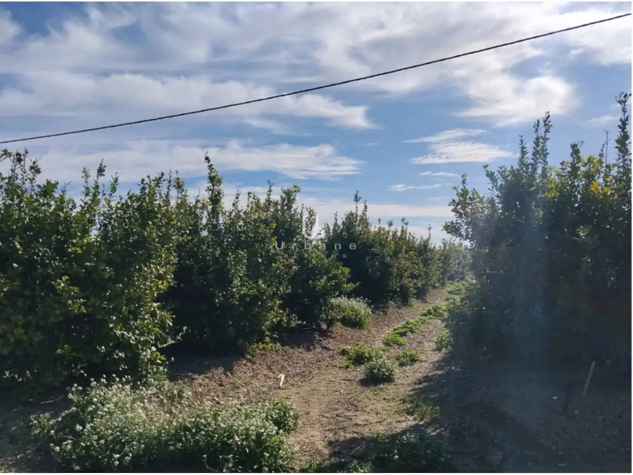 Terreny rústic en venda a Camino Huerta de Abajo, imagen 5
