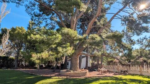 Foto 4 de Casa o chalet de alquiler en Tibi, Alicante