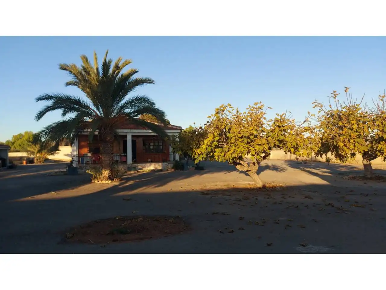 Vista exterior de Casa o xalet en venda en Elche / Elx amb Calefacció, Jardí privat i Piscina
