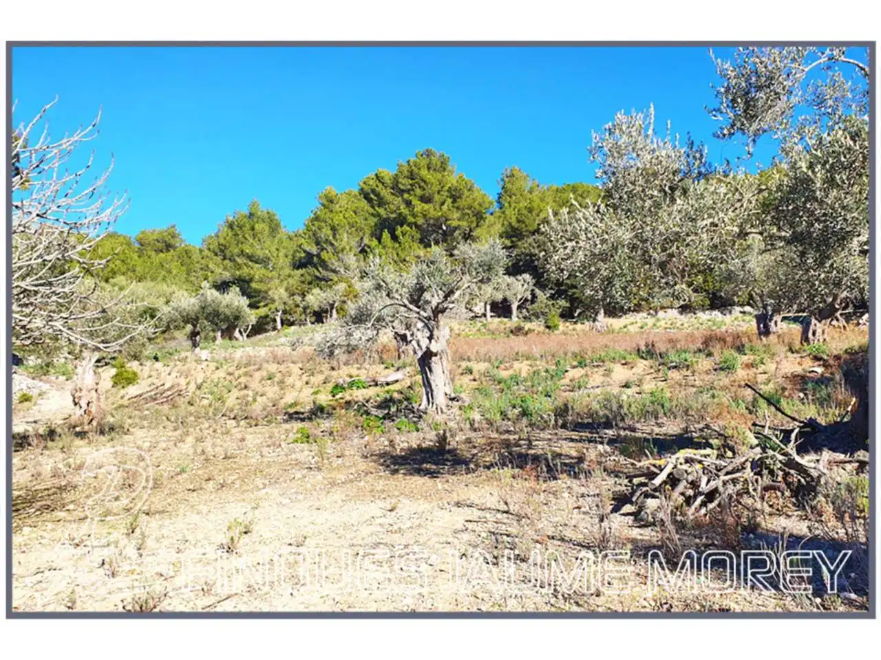 Finca rústica en venta en Mancor de la Vall con Jardín privado y Terraza
