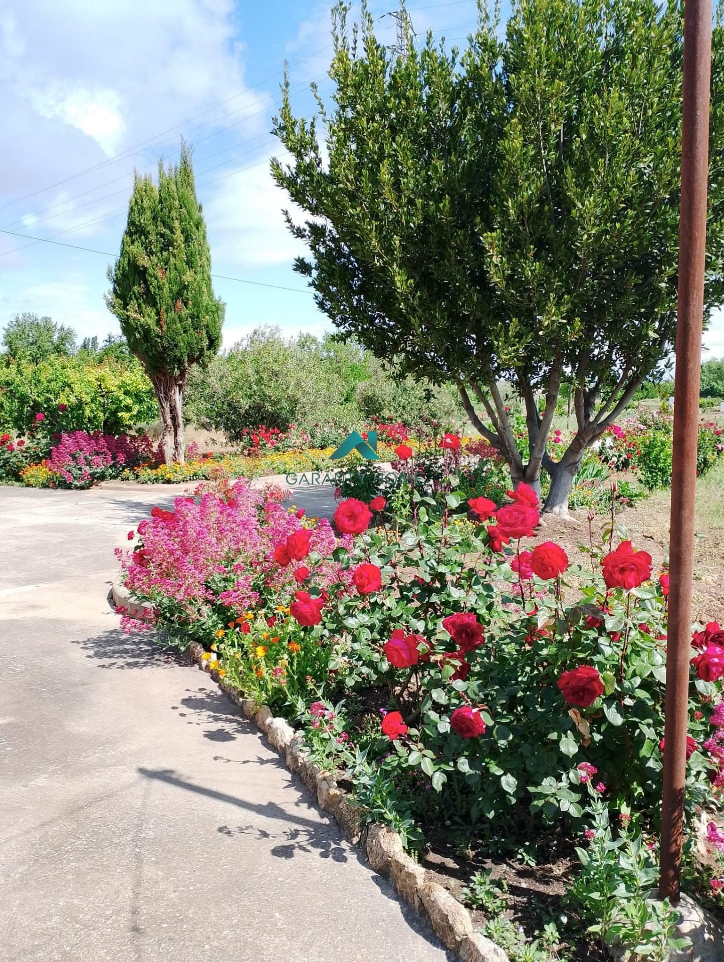 Garden of Houses for sale in  Lleida Capital  with Private garden, Storage room and Swimming Pool