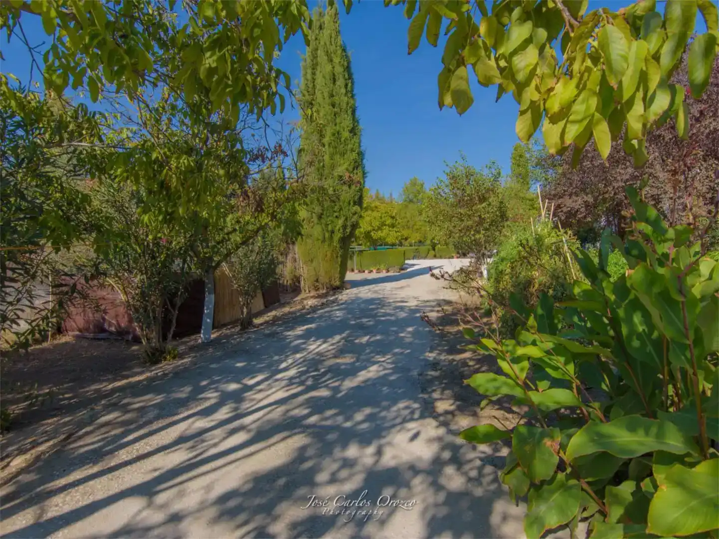 Vista exterior de Finca rústica en venda en Arriate amb Aire condicionat i Piscina
