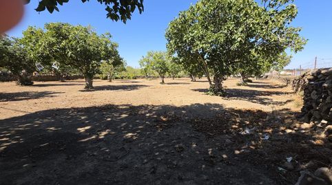 Foto 5 de Residencial en venta en Valdefuentes, Cáceres