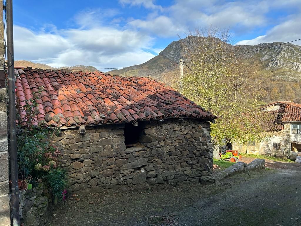 Vista exterior de Casa o chalet en venta en Ponga con Jardín privado