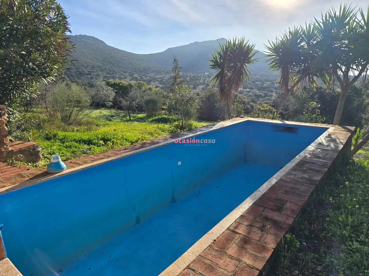 Piscina de Casa o chalet en venta en Santa Eufemia